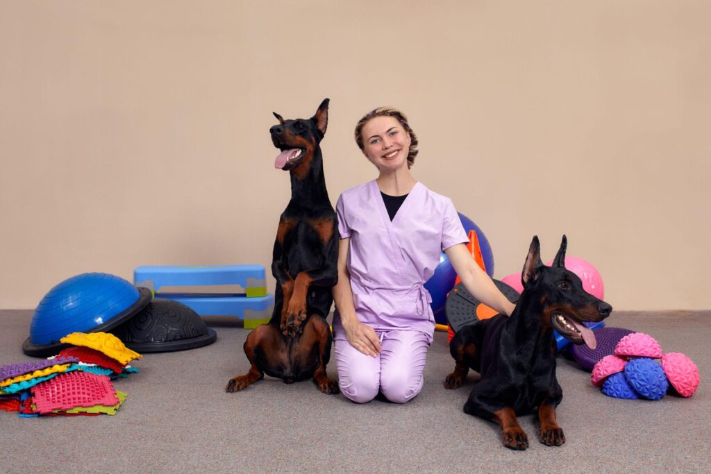 Two dogs and a handler with therapy exercise equipment
